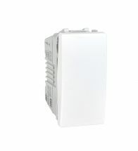 Schneider - Interrupteur 1P 1 Modules Blanc - Mgu3.101.18