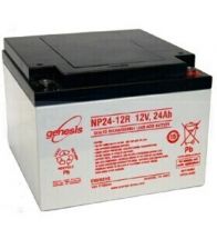 Yuasa - Batterie 12V 24Ah Np24-12 - Np24-12