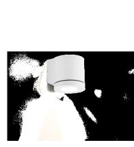Wever & Ducre - Wandverlichting/Plafonverlichting Wandlamp Opbouw 50W 220-240Vac Par16 Gu10 Wit Tube 1.0 - 711120W0