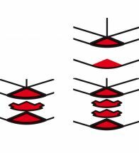 Legrand - Angle Exterieur 50X130Mm Dlp Noir Clip Direct - 075767