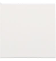 Niko - Centraalplaat blindplaat white coated - 154-76901