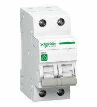 Schneider - R9 Scheider-Switch 2P 40A - R9S64240