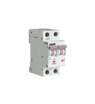 Teco Disjoncteur modulaire 2P 25 A courbe F - L9F252