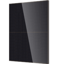 Dmegc Zonnepaneel full zwart 450 W glas-glas bifaciaal - DM450M10RT-B54HBB