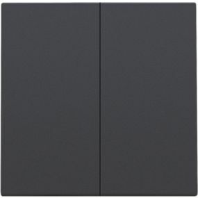 Niko - Plaque centrale pour interrupteur électrique double ou bouton-poussoir anthracite - 122-31004