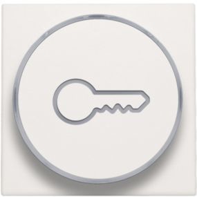 Niko - Set de finition bouton poussoir anneau transparant 'cle' white - 101-64009