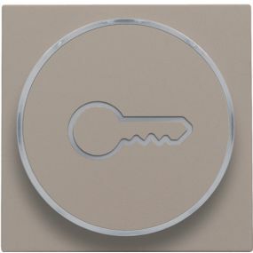 Niko - Plaque centrale Bouton poussoir Anneau transparent Cle Bs - 123-64009