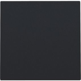 Niko - Centraalplaat blindplaat black coated - 161-76901