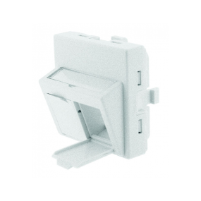 Gigamedia - Outlet Schuin Incl 2Ports 45X4 - Pl45Id