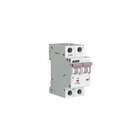 Teco Disjoncteur modulaire 2P 25 A courbe F - L9F252