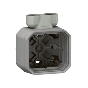 Legrand Plexo - Boitier 1 Poste 2Xm20 - 069846L