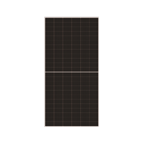 Dmegc Zonnepaneel Silver 590 Wp glas-glas bifaciaal 2278x1134mm - DM590M10T-B72HSW