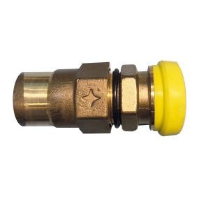 Sanutal - Aansluiting uiteinde PLT Vrouwelijk DN 25 G 1'' conisch