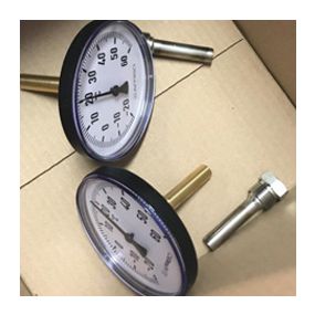 Euro Index - Bimetaal thermometer 100mm inox huls 65mm -20/60grC